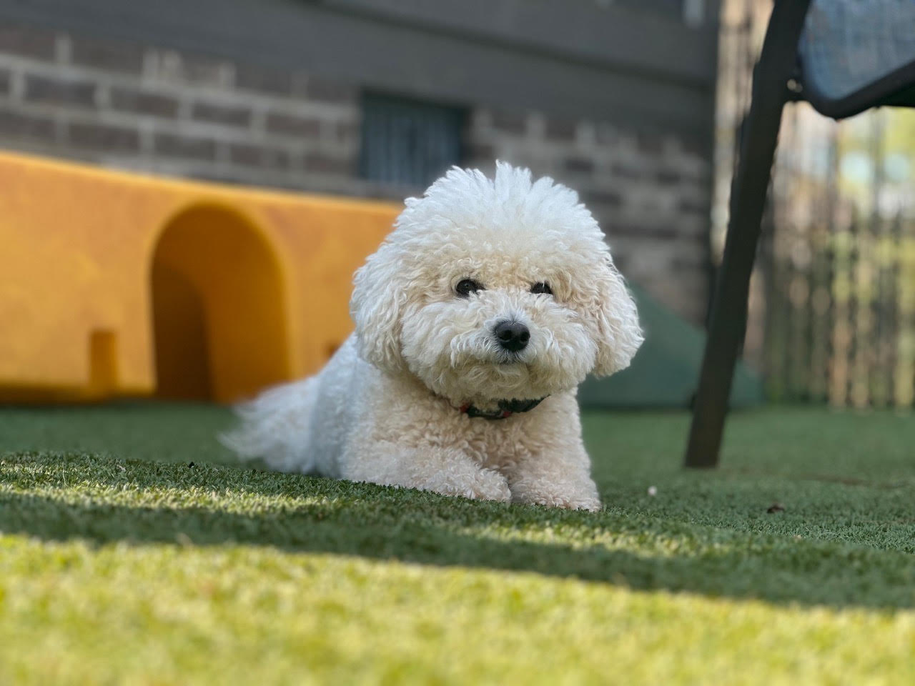 Kimberly M. & Stanley